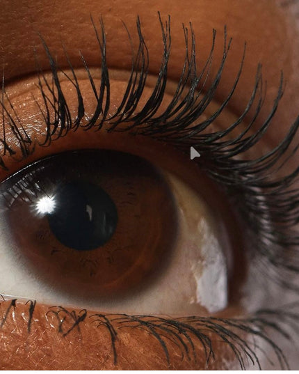 Lash Sculpt Lengthen and Lift Mascara