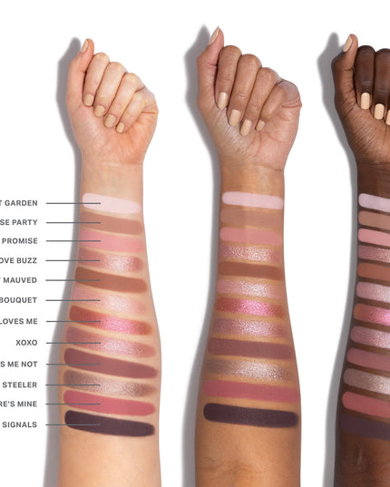 Chromaplus 12-Pan Eyeshadow Palette