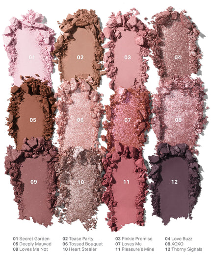 Chromaplus 12-Pan Eyeshadow Palette