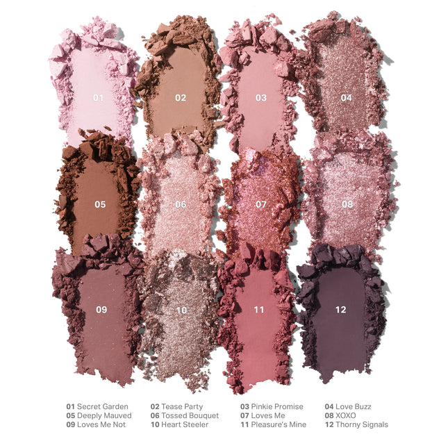Chromaplus 12-Pan Eyeshadow Palette
