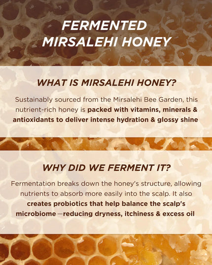 Honey Gloss Ceramide Therapy Hydrating Conditioner