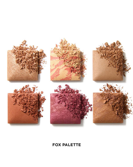 FOX - Ambient Lighting Edit Unlocked