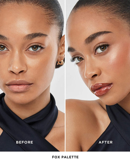 FOX - Ambient Lighting Edit Unlocked